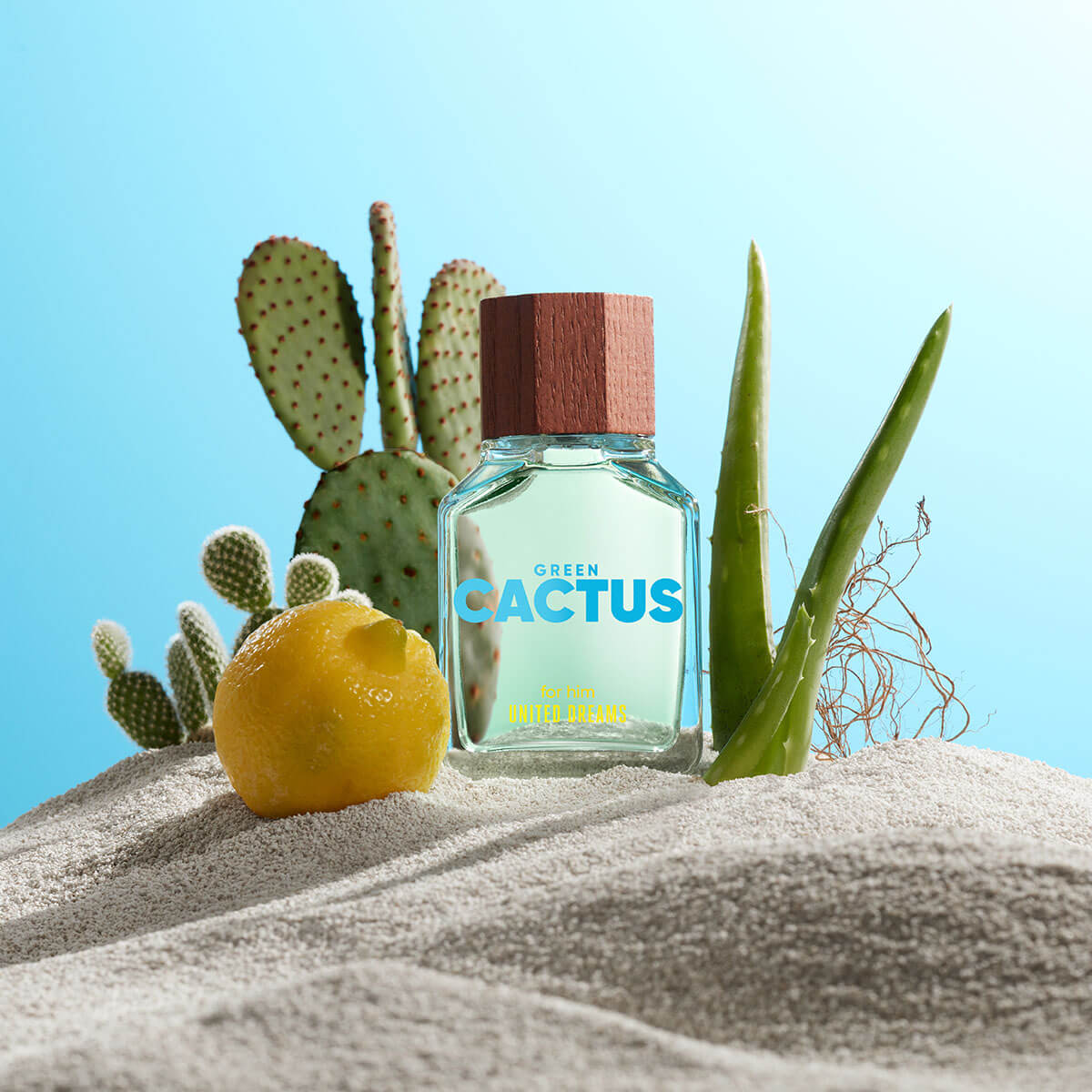 GREEN CACTUS FOR HIM EDT PERFUME PARA HOMBRE